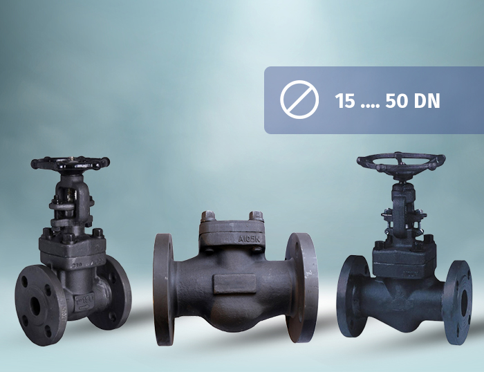 Forged Gate Globe Check Valve